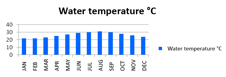Wassertemperaturen in Florida Water temperature