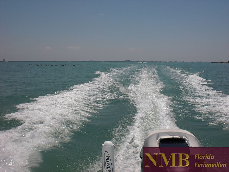 Florida erkunden mit einem Boot NMB Bootsvermietung