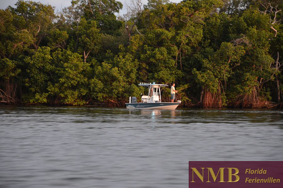 Sport NMB Vacation Rentals