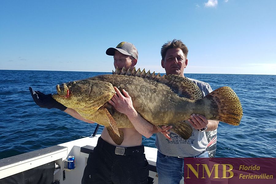 Sport NMB Vacation Rentals