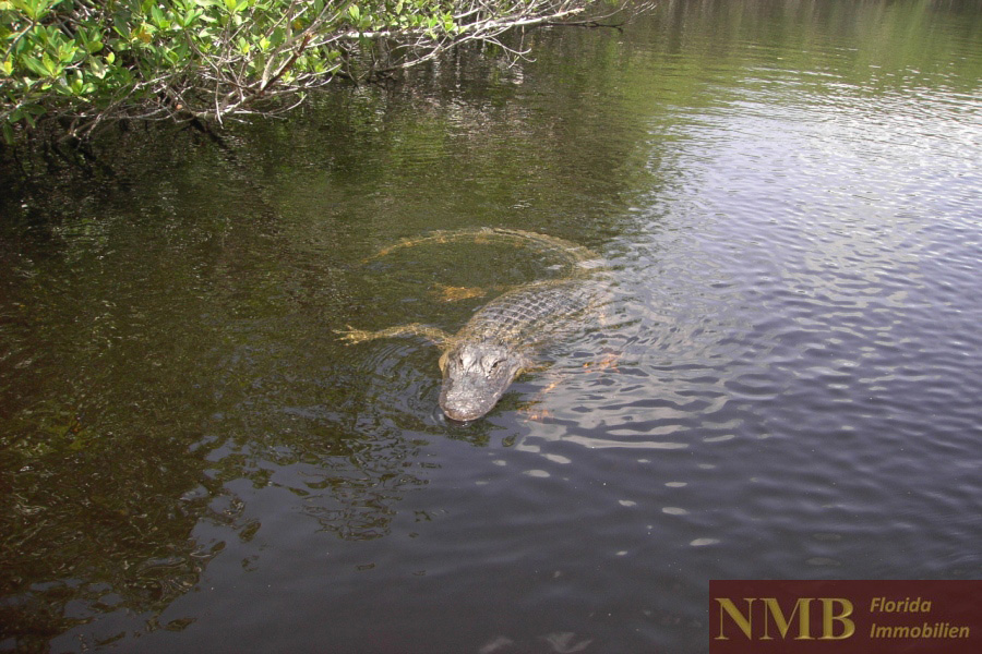 Abenteuer NMB Vacation Rentals