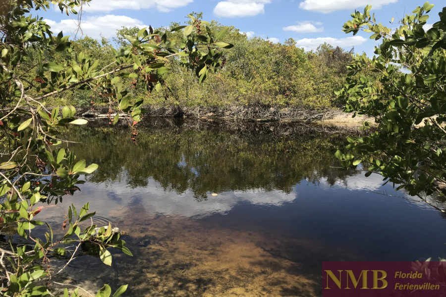 Natur NMB Vacation Rentals