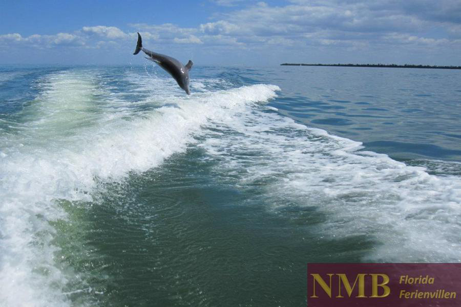 Boot NMB Vacation Rentals
