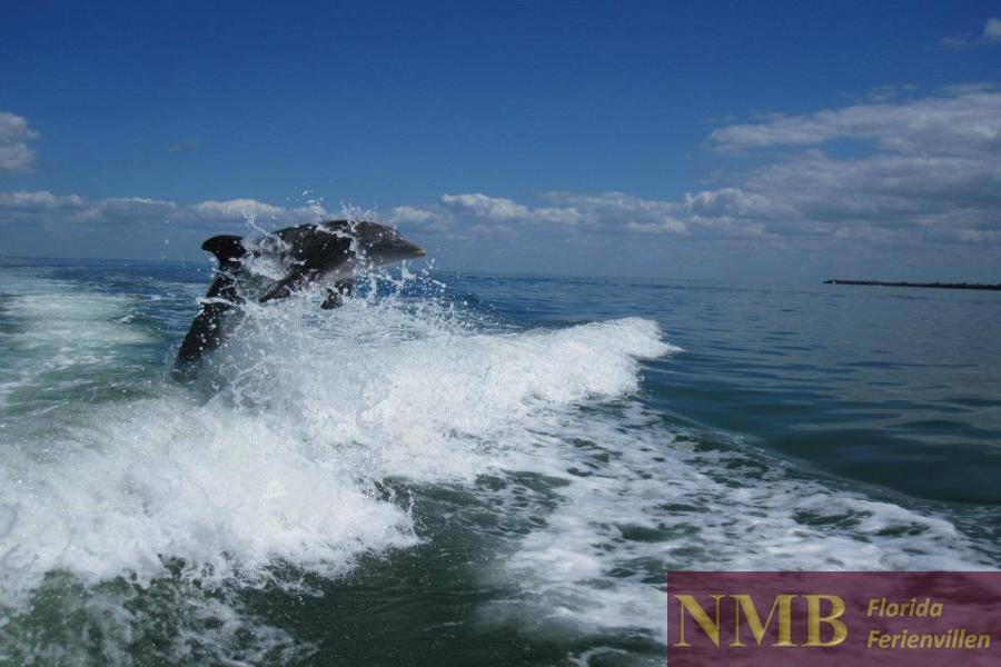 Boot NMB Vacation Rentals
