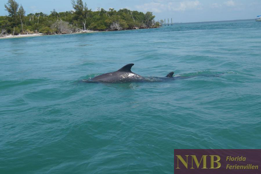 Boot NMB Vacation Rentals